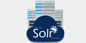 Apache Solr Certification Training