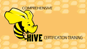 Comprehensive Hive Certification Training