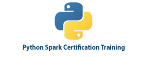 Python Spark Training