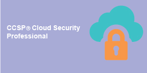 CCSP Certified Cloud Security Professional