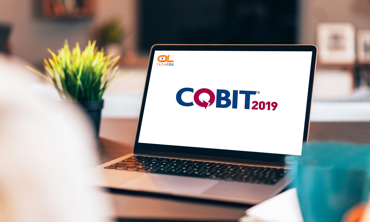 COBIT® 2019 Foundation