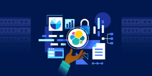 In Elasticsearch Engineer II Training