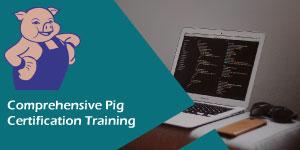 Comprehensive PIG Certification Training