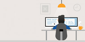 PMI® Agile Certified Practitioner Training
